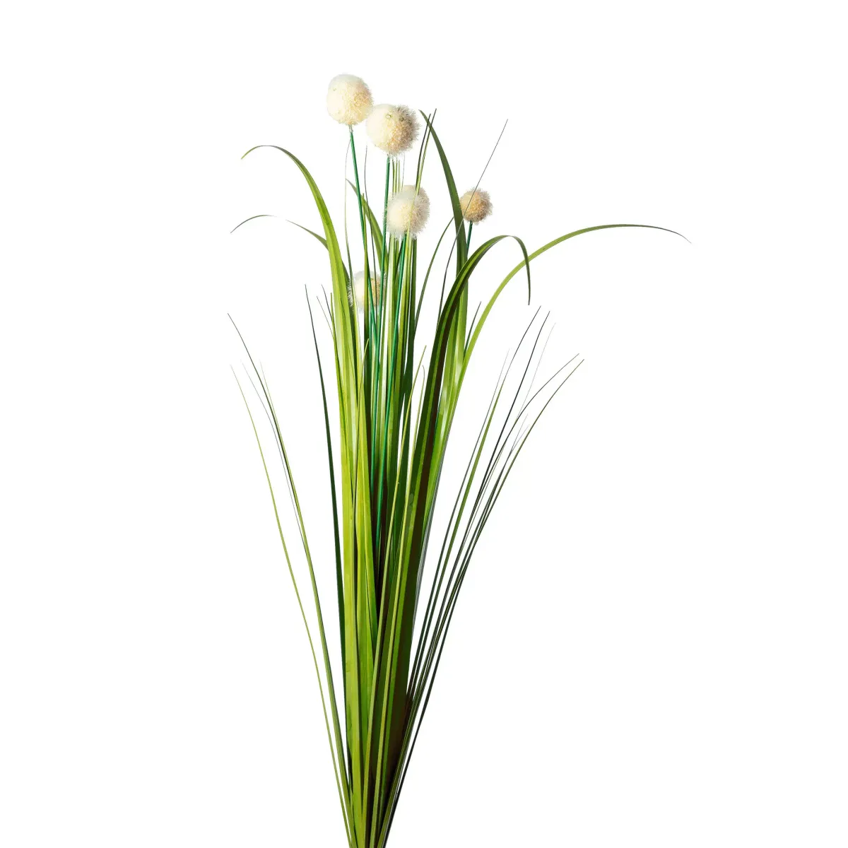 KUGELGRAS