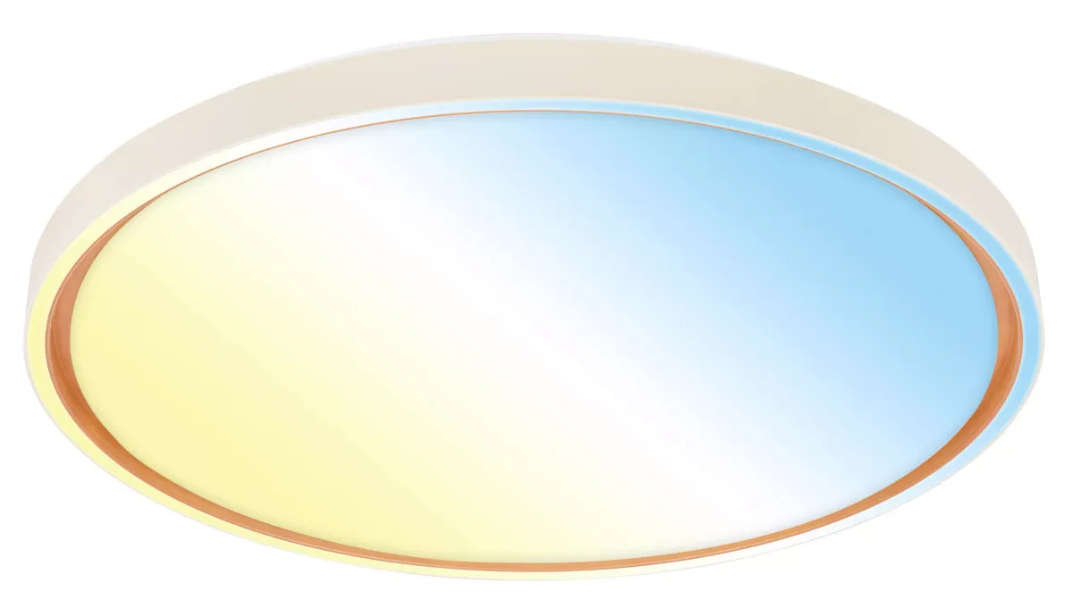 LED PLAFONJERA INA