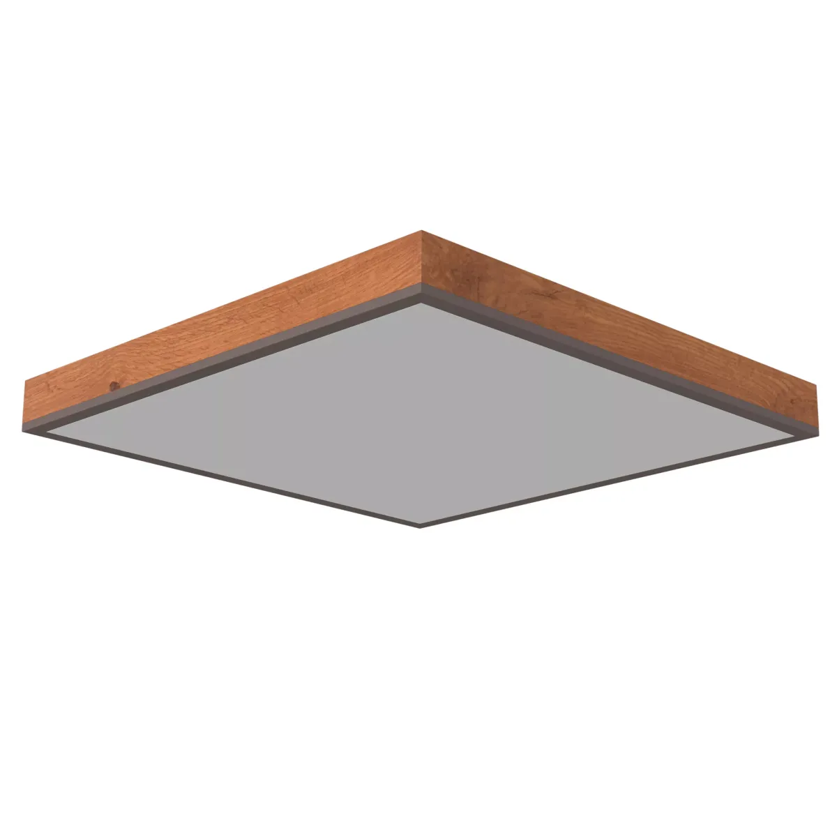 LED PLAFONJERA