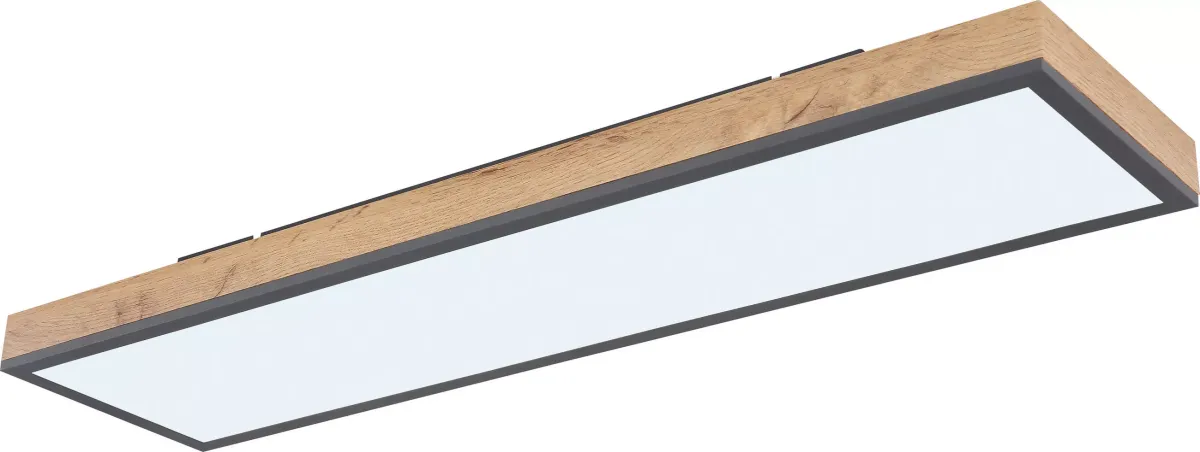 LED PLAFONJERA