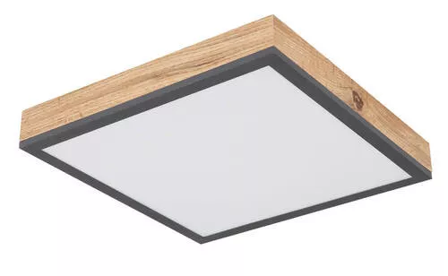 LED PLAFONJERA