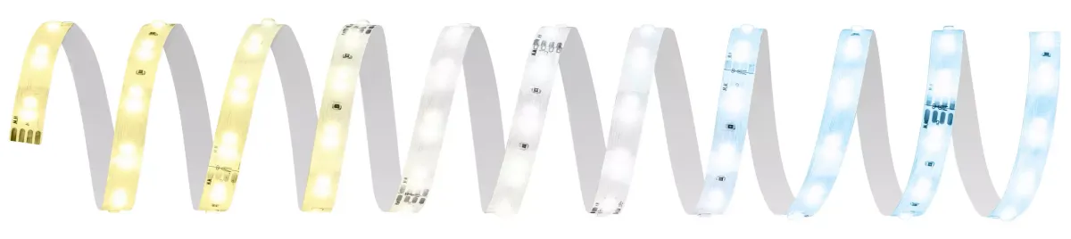 LED TRAKA