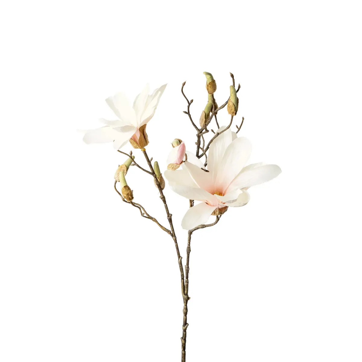 MAGNOLIJA 85 cm