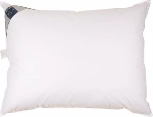 PROŠIVENI JASTUK 40/60 cm