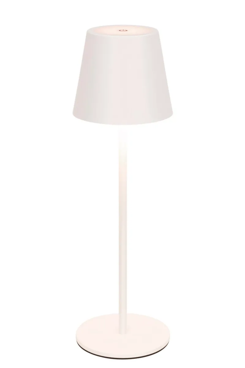 PUNJIVA STONA LAMPA Seattle