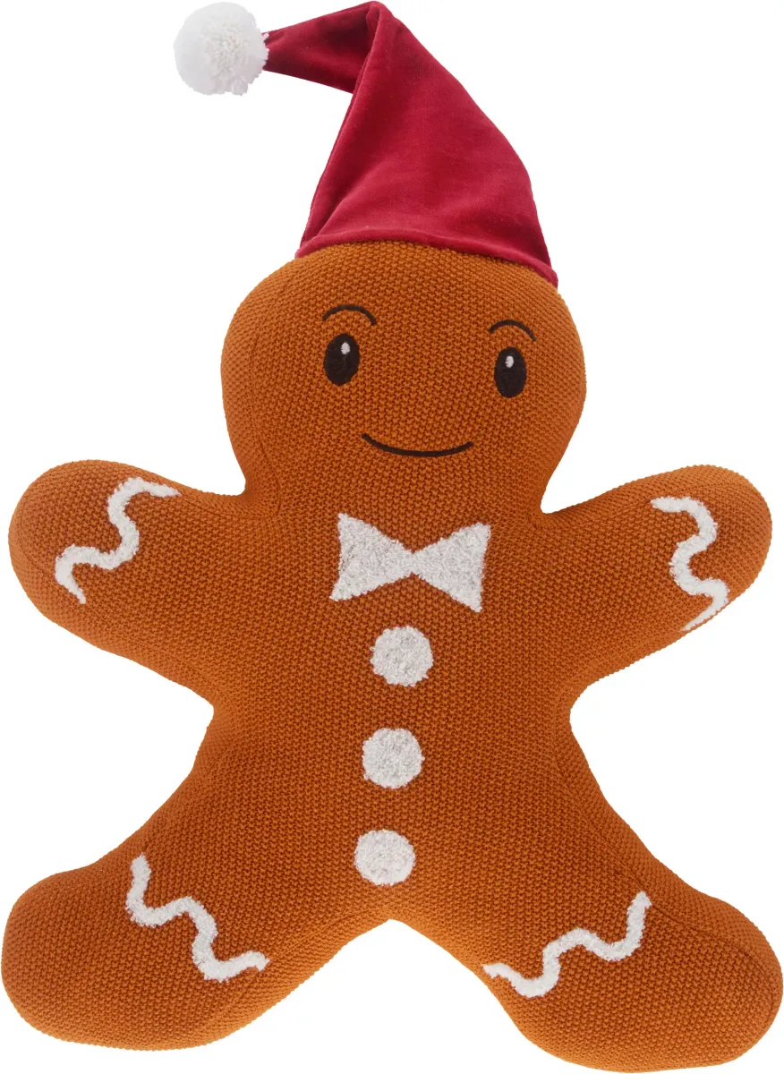 UKRASNI JASTUK GINGER