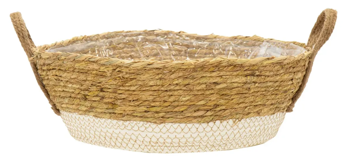 VISEĆA KORPA ZA REGAL