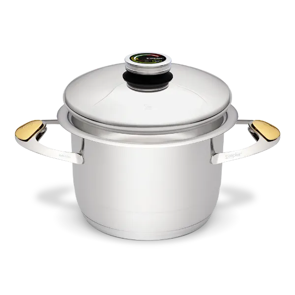 Zepter cookware for cooking without fat and water - 4.2 l pot, Ø 20 cm, height 14.2 cm
