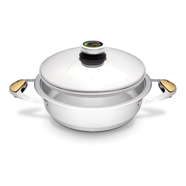 Zepter URA cookware for cooking without fat and water - 3.0 l pot Ø 24 cm